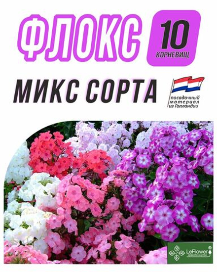 Флоксы Корневище, Микс сортов, 10шт