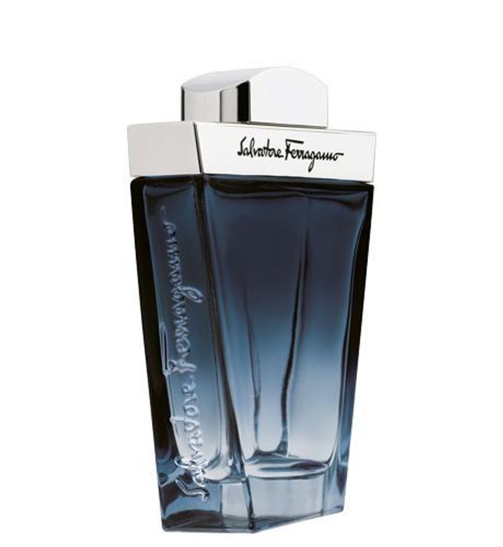 Salvatore Ferragamo Subtil Pour Homme