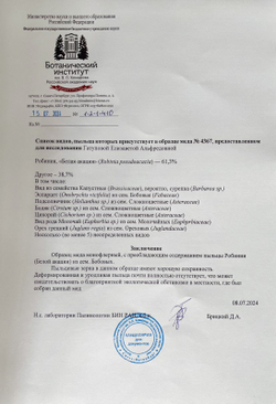 Белая акация мёд 2024г