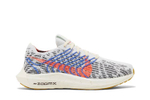Кроссовки Nike Pegasus Turbo Next Nature (Женская размерная сетка)