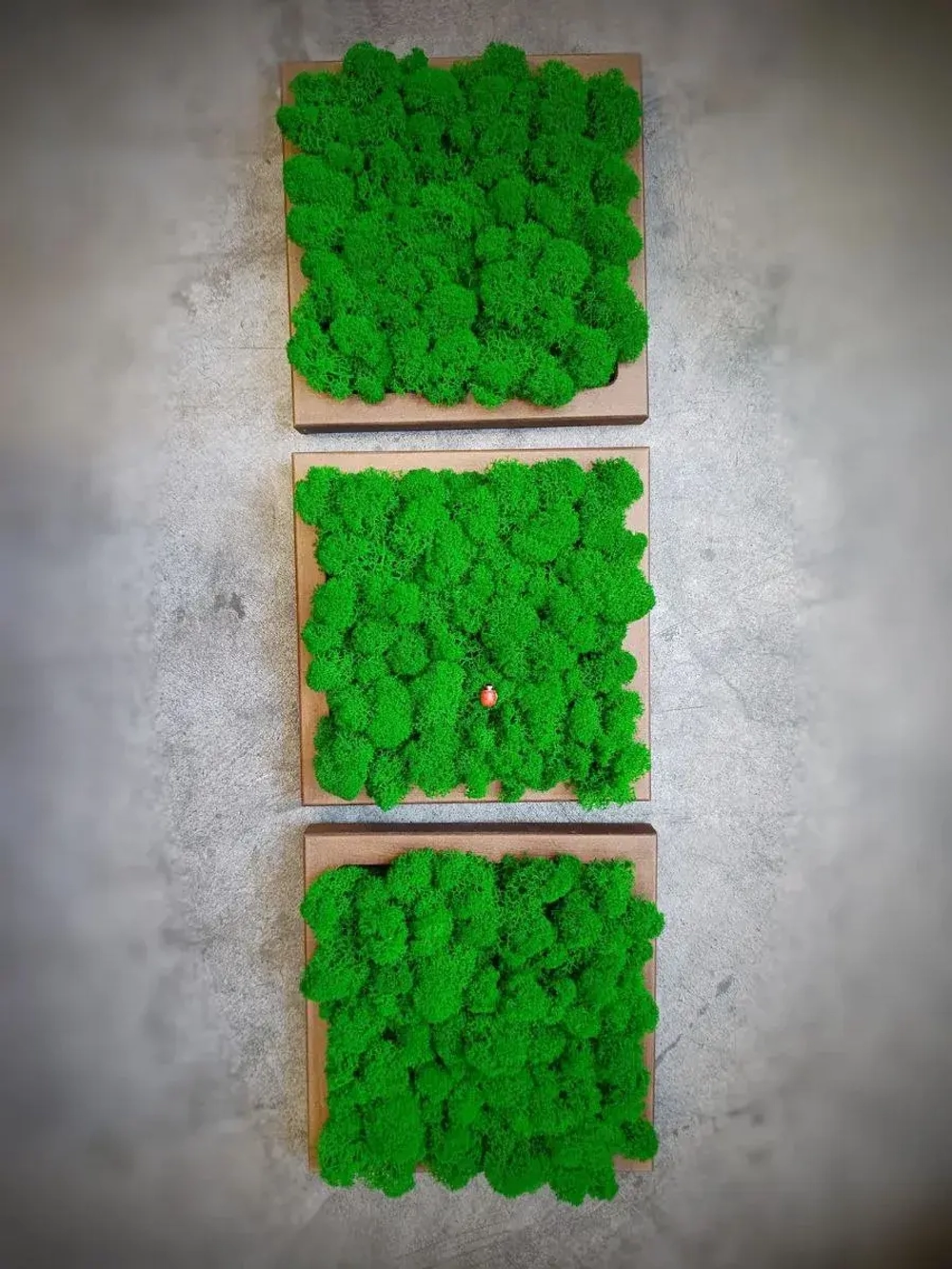 Квадратное панно на стену 20*20 из мха набор 1 шт.