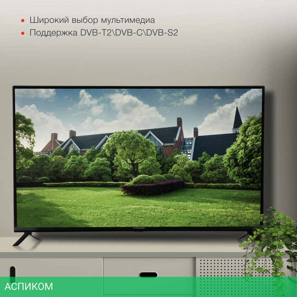 Телевизор LED Starwind 43" SW-LED43SG302