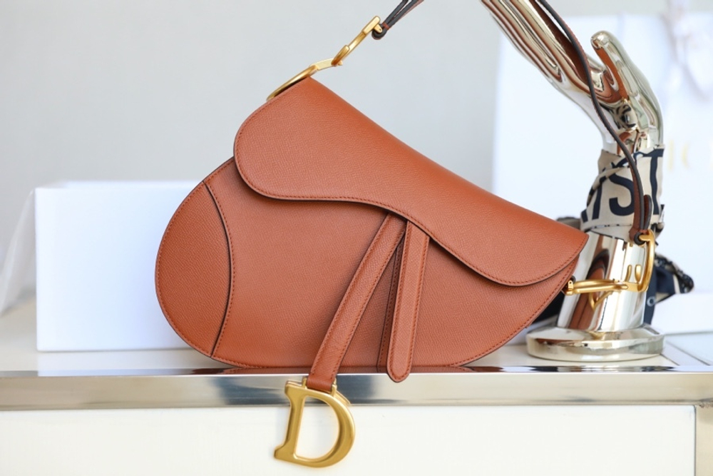Christian Dior Saddle Bag 25 cm