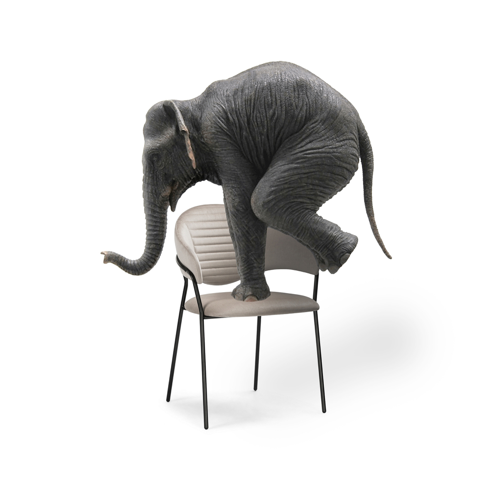 Стул на металлокаркасе Woodville Рансол дымчатый, черный глянец