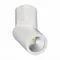 ST650.542.10 Светильник потолочный Белый LED 1*10W 4000K 800Lm Ra>90 38° IP44 D62xH151 165-265V Накладные светильники