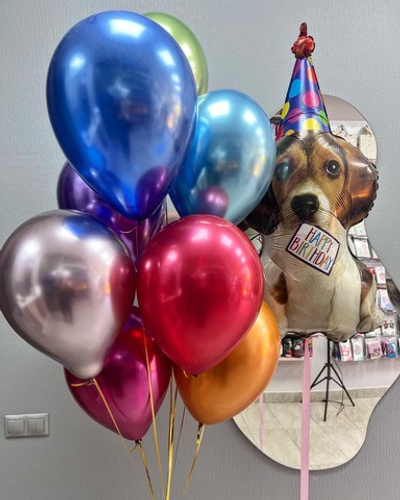 Набор шаров Собака Бигль