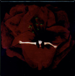 The Smashing Pumpkins / Adore (Deluxe Edition)(6CD+DVD)