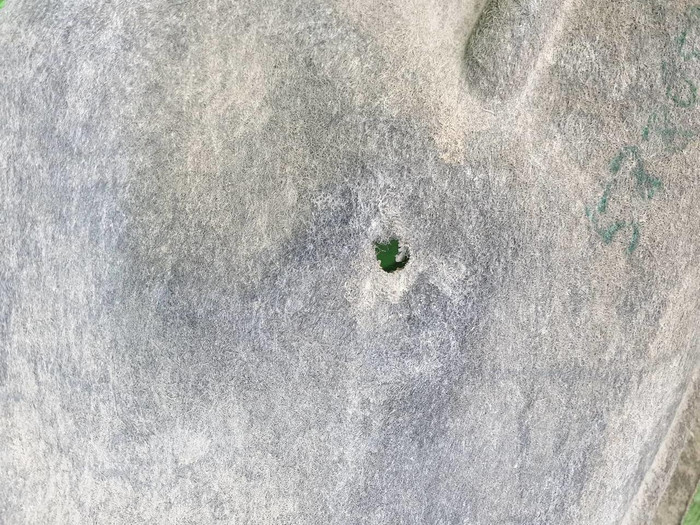 Подкрылок задний правый Nissan X-Trail 3 Т32 (2017-2022)