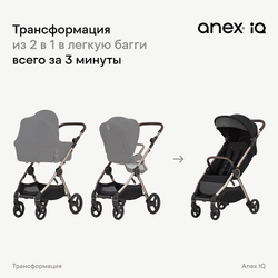 Детская коляска Anex iQ Basic NT 2 в 1 Nyx