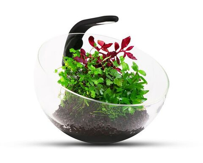 Аквариум Aqualighter  Wabi Set