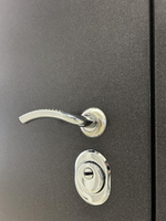 Дверь входная Арктика