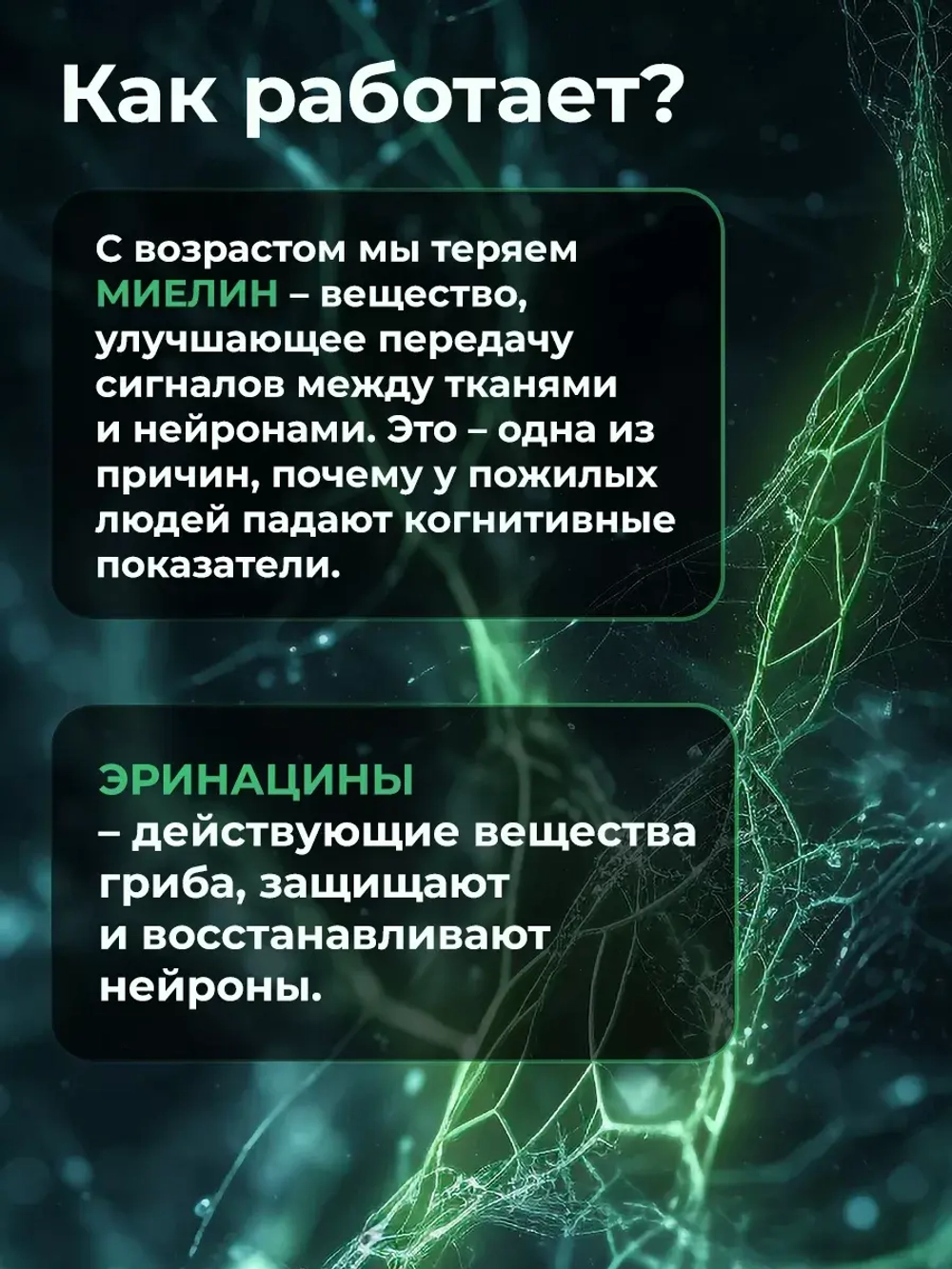 Ежовик Гребенчатый Мицелий 60 капсул