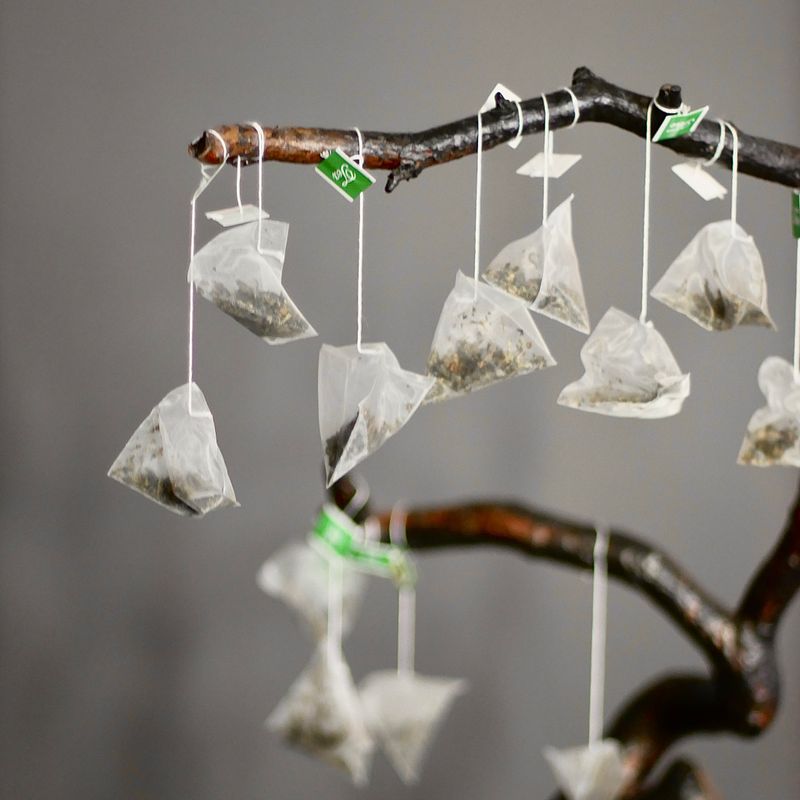 Истории из жизни чайного пакетика