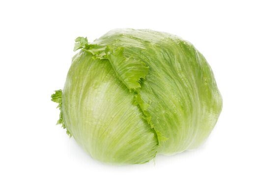 КОРИАНАС Knox семена салата Rijk Zwaan купить