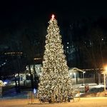 Светодинамическая елка каркасная - встроенная гирлянда: теплый свет - "Уральская" - высота от 4 до 30 м