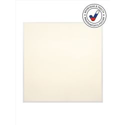 Светильник светодиодный ЭРА SPO-944-9-65K-038 38Вт 6500К 3990Лм 588x588x40 матовый с равномерной засветкой БАП | Офисные Светильники Россия