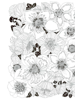 The flower year. Coloring Book (Korea)