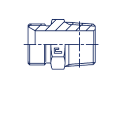 Штуцер FC BSP 2" NPT 2"