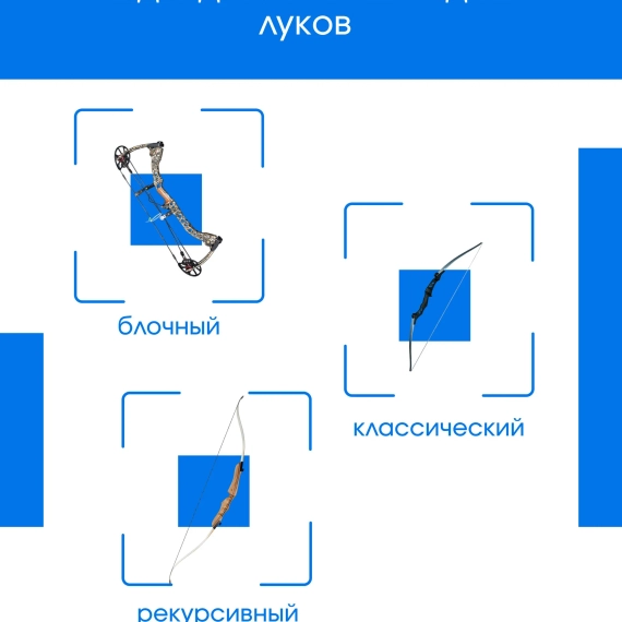 Стрелы для лука охотничьи 80см микс карбоновые спортивные GROZA (9шт)