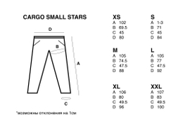 Брюки ZRD Cargo small stars