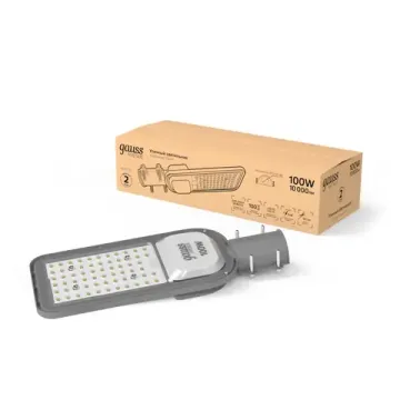 Светильник Уличный 100W 6500K IP65 380*146*70 200-240V КСС "Ш" 1/2 629534400 серый Avenue Gauss