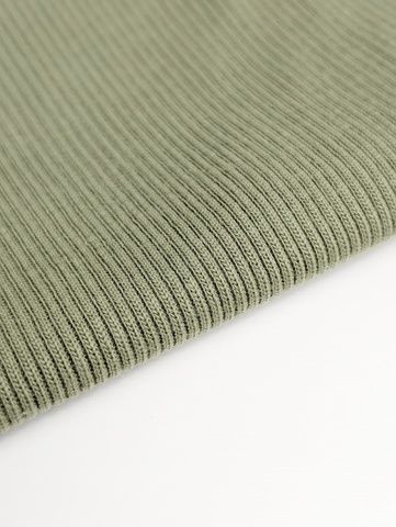 Светлая оливка Кашкорсе к Футеру 3-х нитке начёсу American