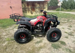 Квадроцикл RAPTOR Madman 200 All