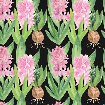 Бесшовный принт с гиацинтами