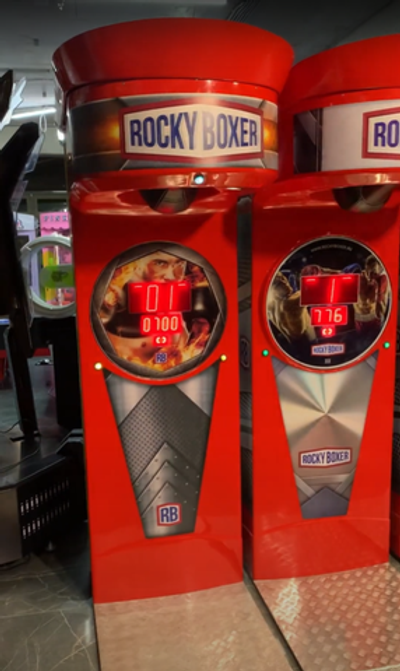 Силомер боксер «Rocky Boxer» Standart