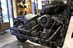 Harley-Davidson Softail®Street Bob  2020