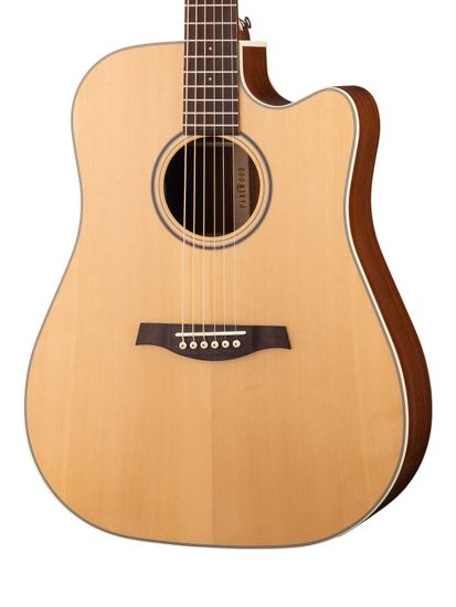Электроакустическая гитара с чехлом Parkwood S26-GT
