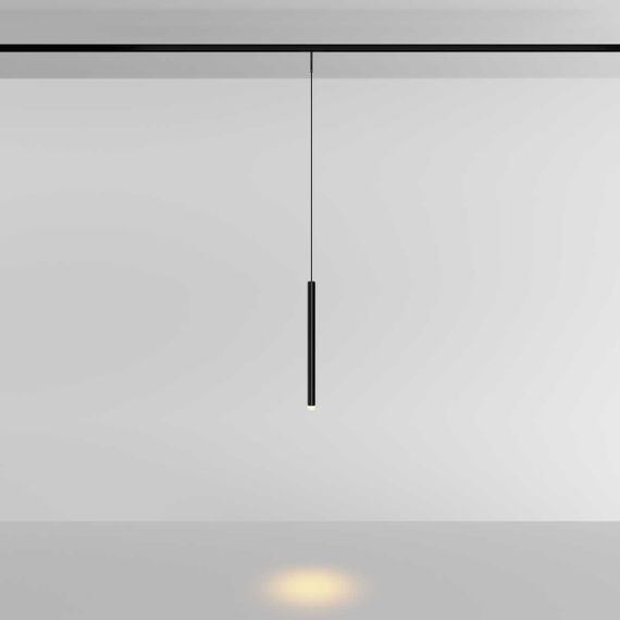 Трековый подвесной светильник Maytoni Technical Skim TR191-1-3W2.7K-M-B