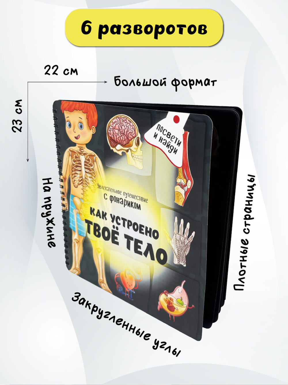 Книжка с фонариком "Как устроено твое тело"