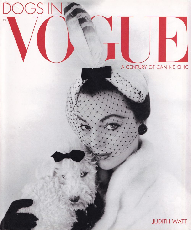 Собаки в журнале VOGUE: Век собачьего шика