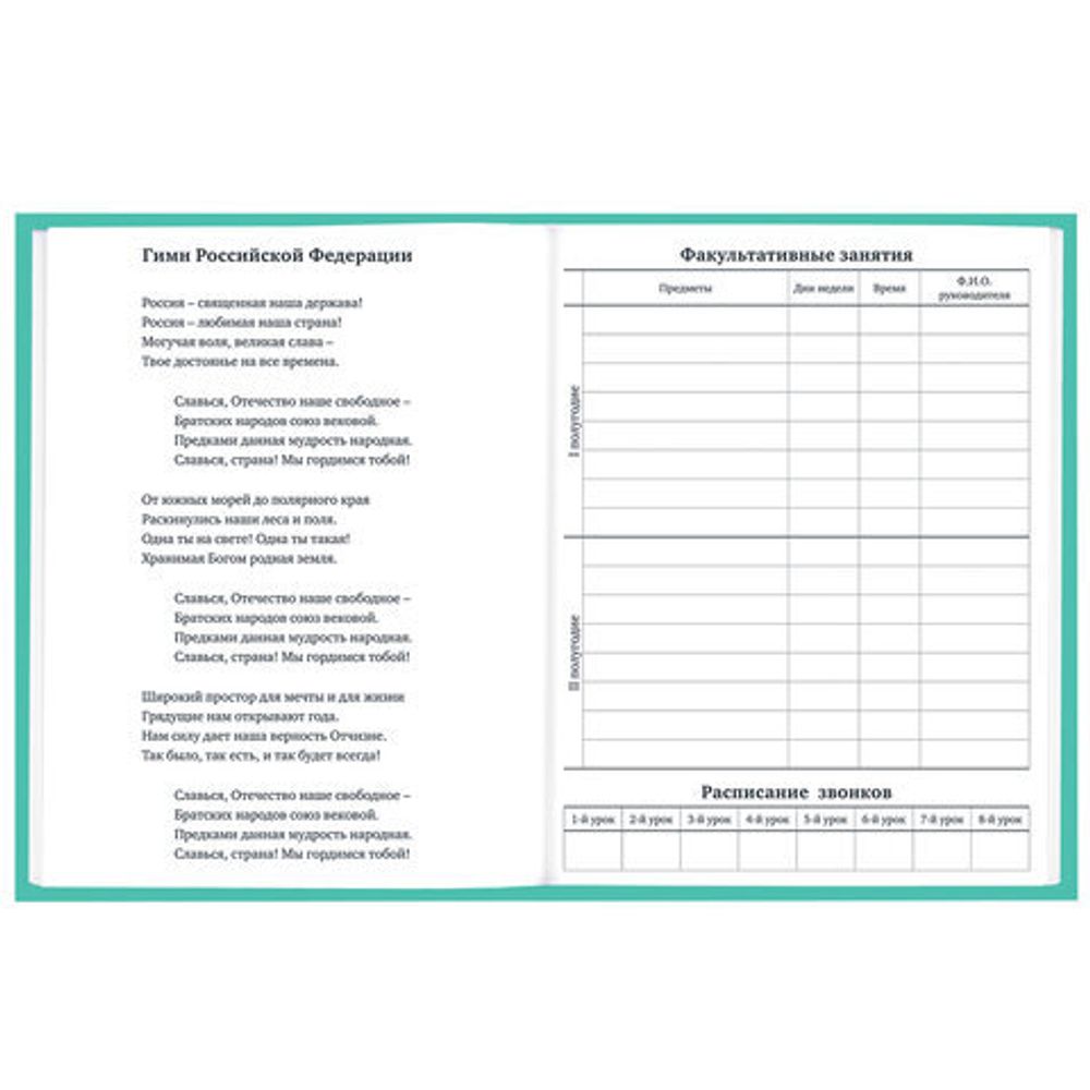 Дневник 1-11 класс 40 л., твердый, BRAUBERG, матовая ламинация, АССОРТИ, 107165