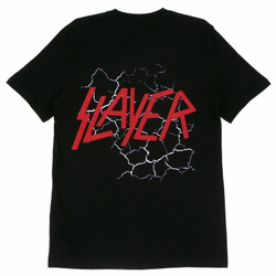 Футболка Slayer орел (442)