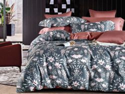 Постельное белье 1.5 спальное Asabella 1441-4S