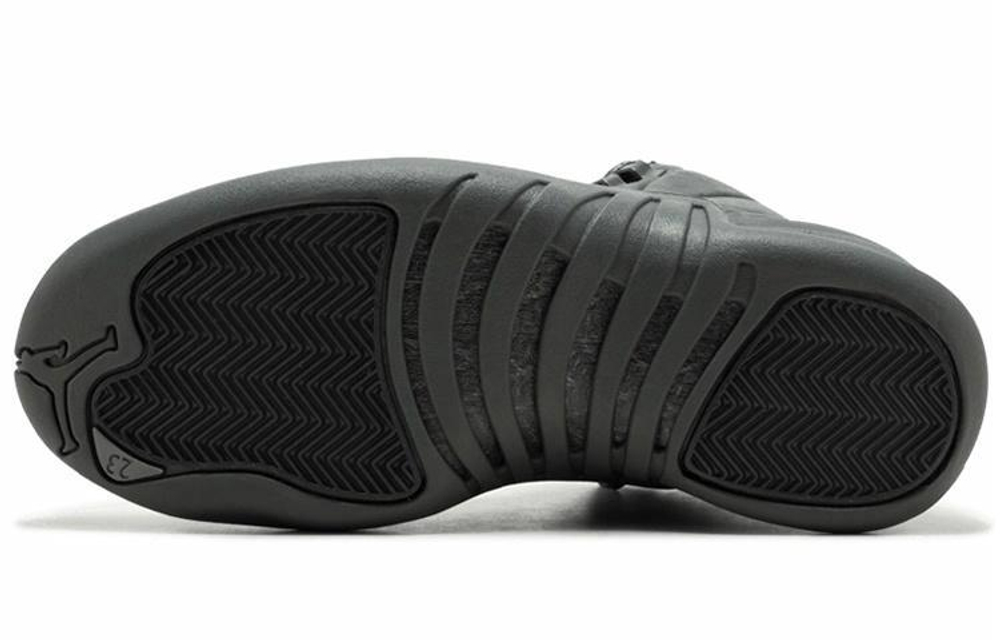 Кроссовки Jordan Air Jordan 12 Retro Psny