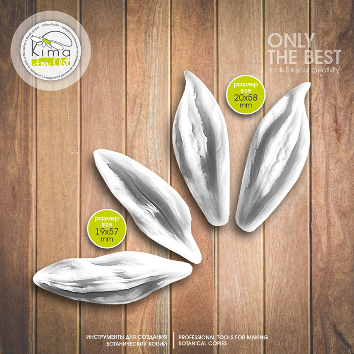 Тюльпан зеленоцветный средний