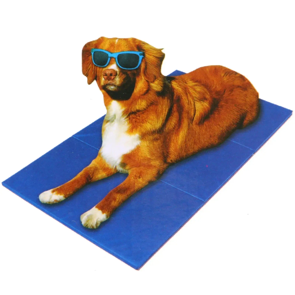 Матрас охлаждающий для собак и кошек «Место Бро», цвет синий, размер S, 40*50см