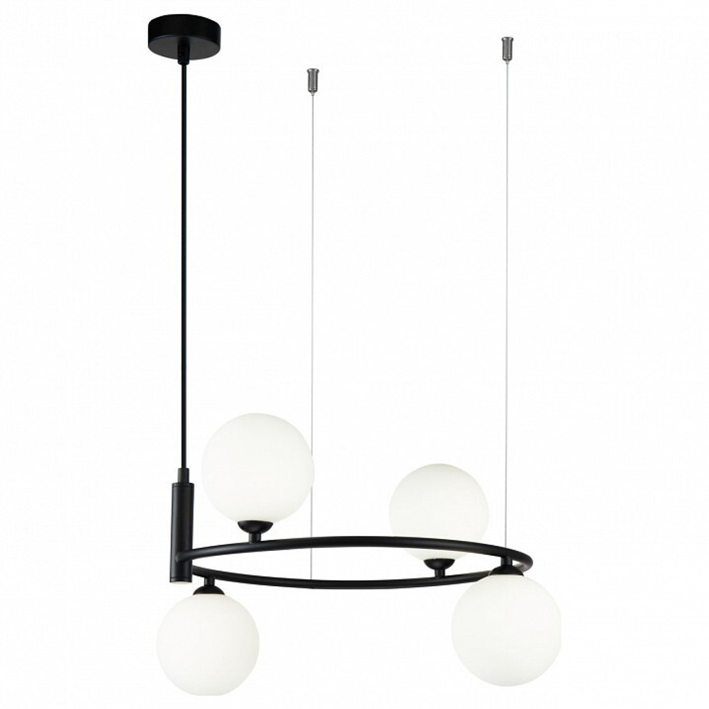 Подвесная люстра Maytoni MOD013PL-04B
