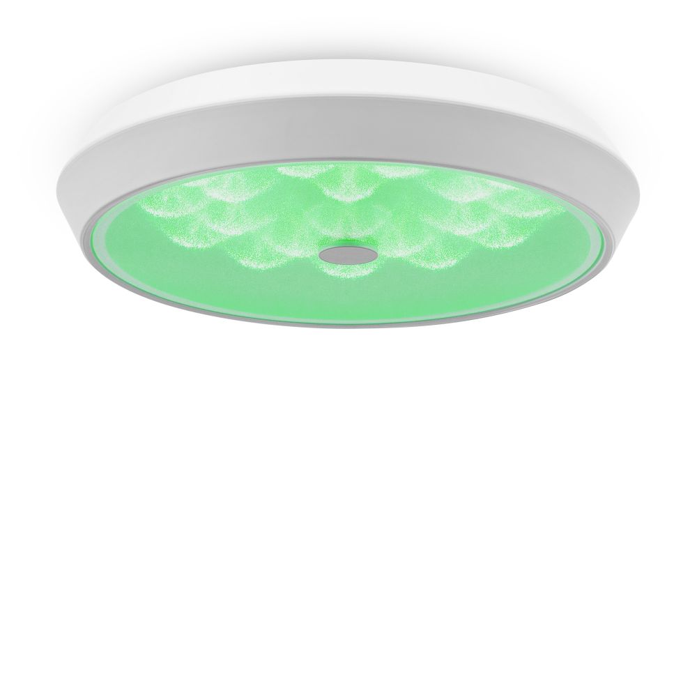 Потолочный светильник Freya FR10012CL-L24W