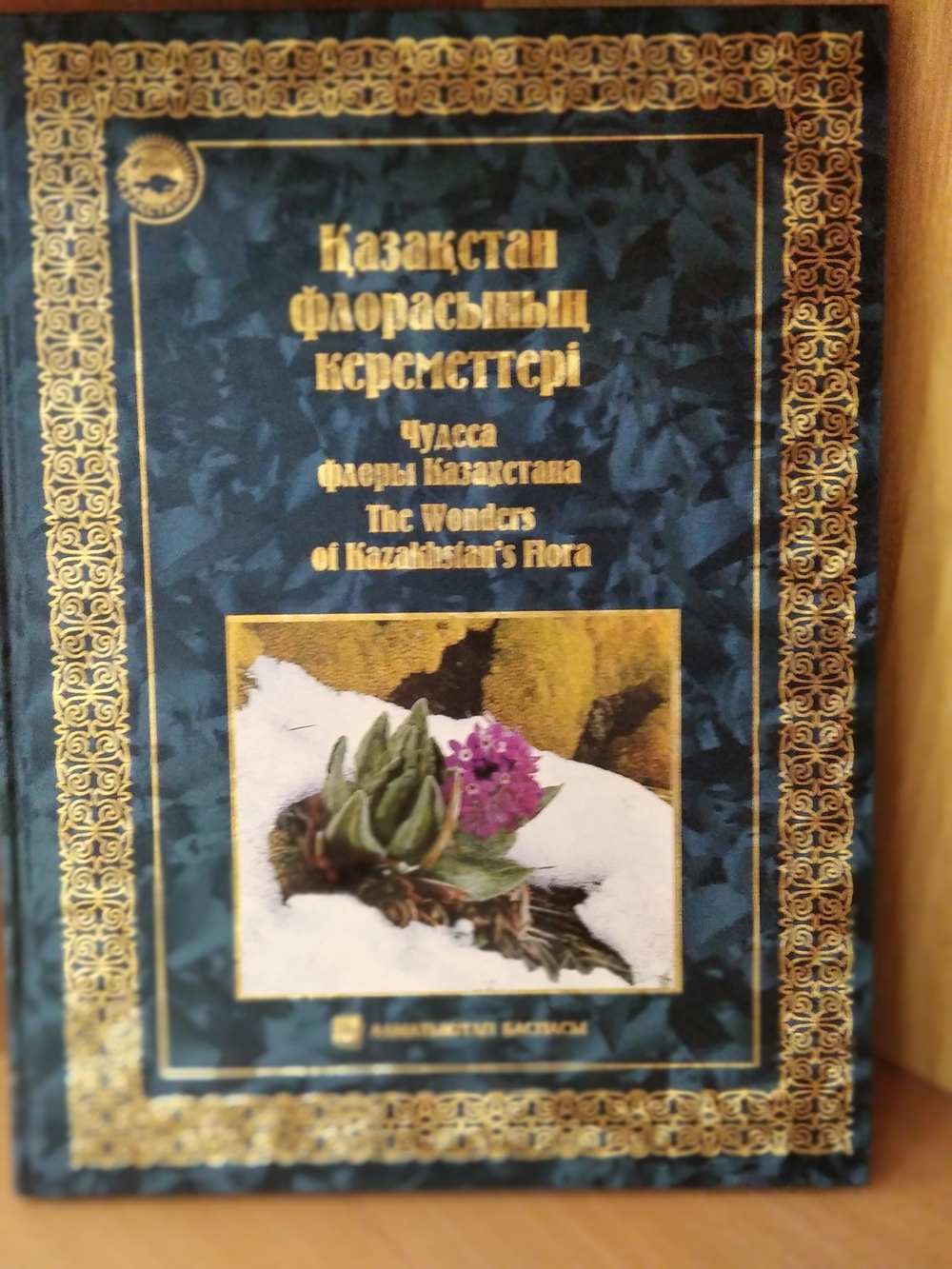 Kaзаkстан флорасынын кереметтері/Чудеса флоры Казахстана