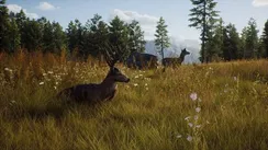 PS5 Way of the Hunter (Новый, Русские субтитры, PPSA-05732)