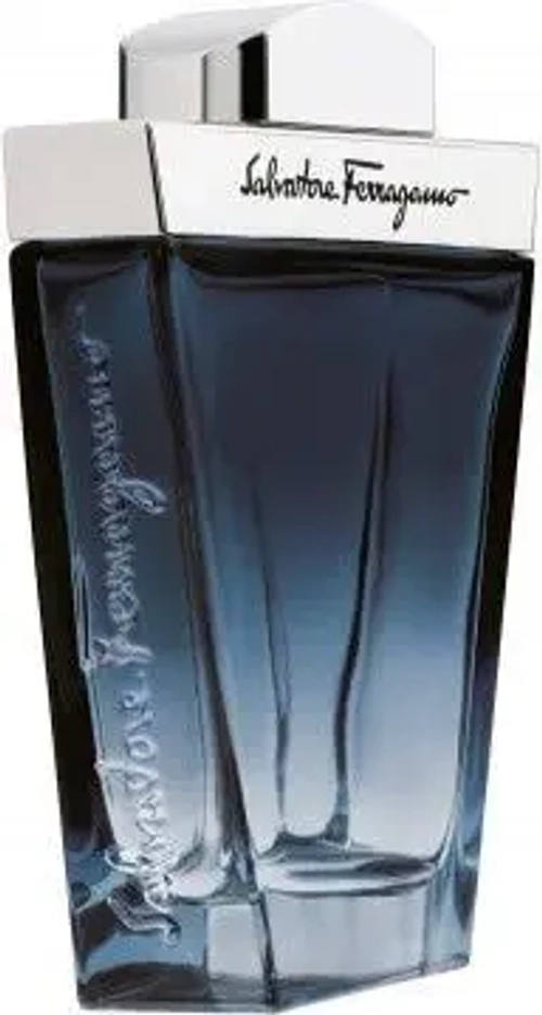 Мужская парфюмерия Salvatore Ferragamo Subtil EDT 100 мл