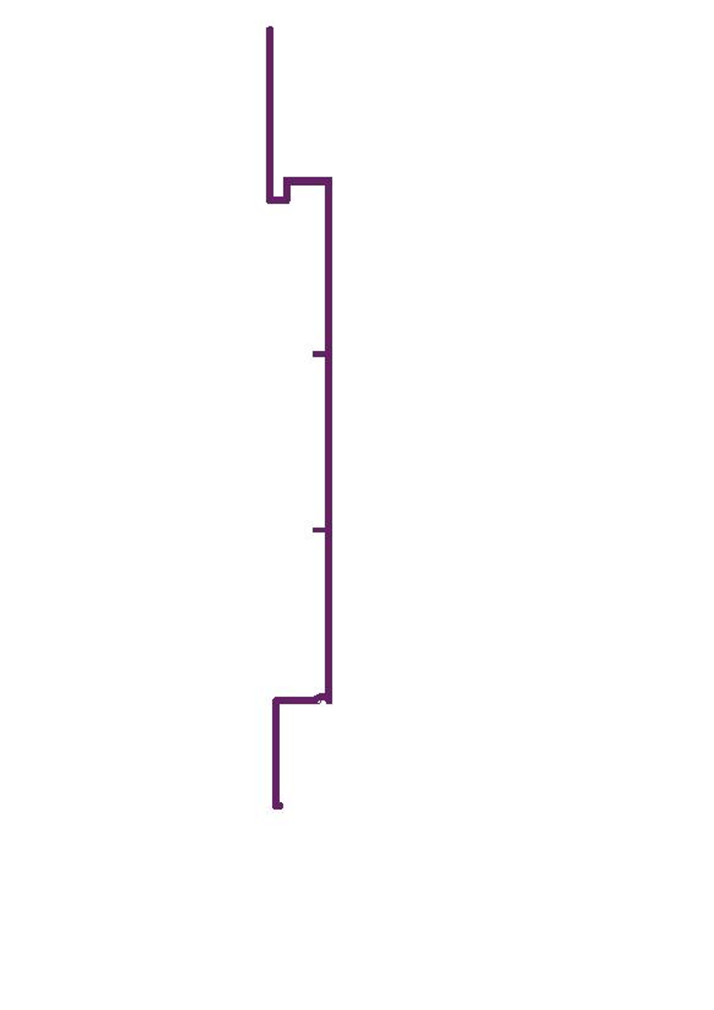 RD 100 Рейка алюминиевая (6,0) RAL