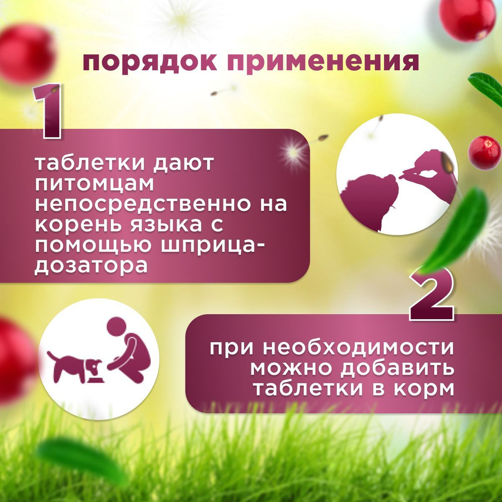 Кормовая добавка от цистита и для профилактики мочекаменной болезни у собак, Стоп-Цистит ПЛЮС, жевательные таблетки со вкусом печени, 40таб