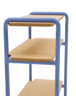 Стеллаж из ясеневого шпона цвета Tinn с синей металлической конструкцией, 70 x 60