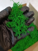 Мох стабилизированный обрезки для рукоделия
