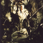 Fields Of The Nephilim / 5 Albums (5CD)